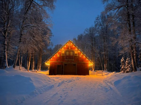 Alaskan Wild Rose Retreat